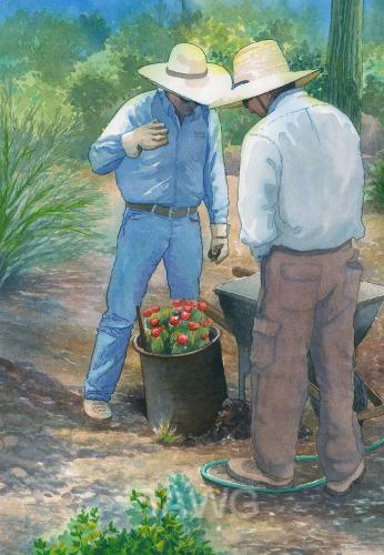 Planting the Claret Cup Cactus by Ellen Fountain
